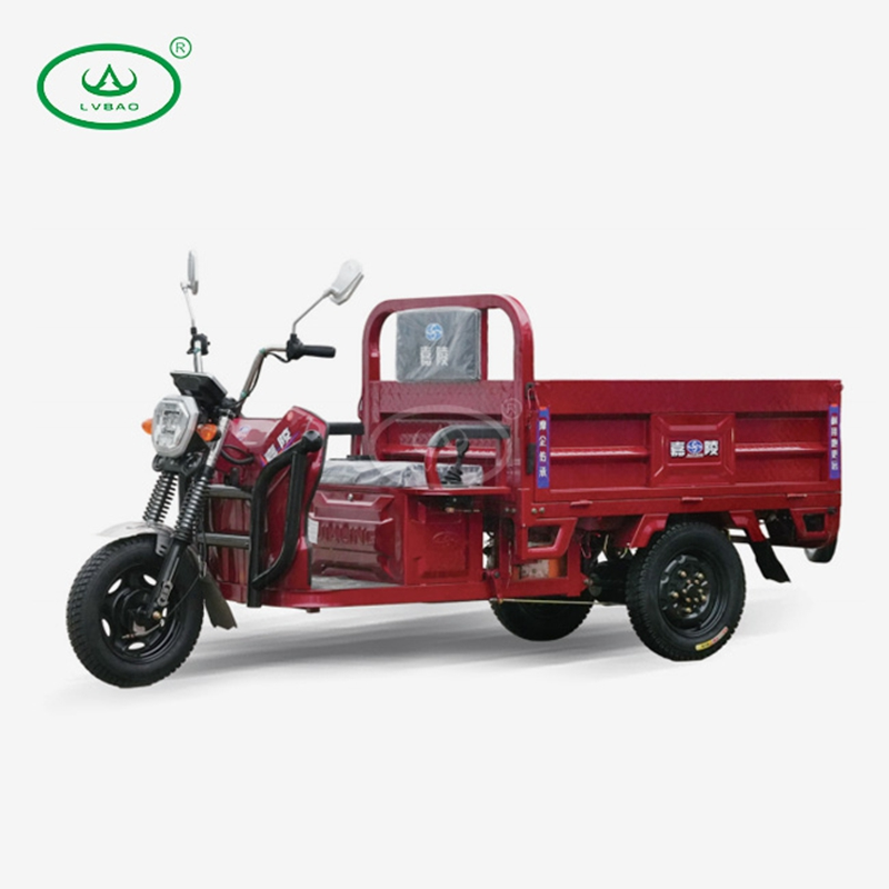Electric Cargo Tricycle With Hydraulic