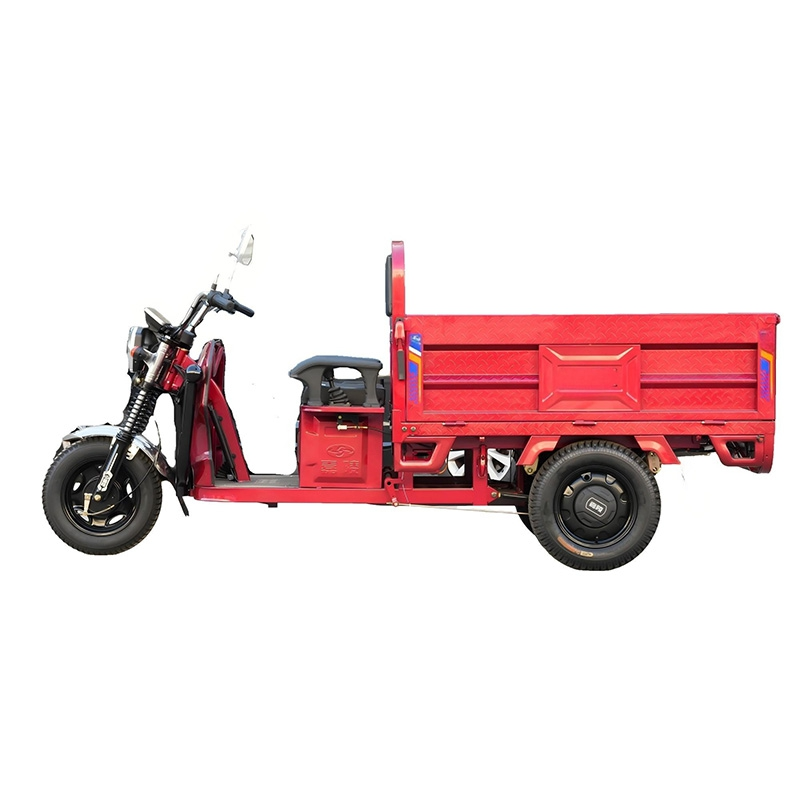 Electric Cargo Tricycle With Hydraulic
