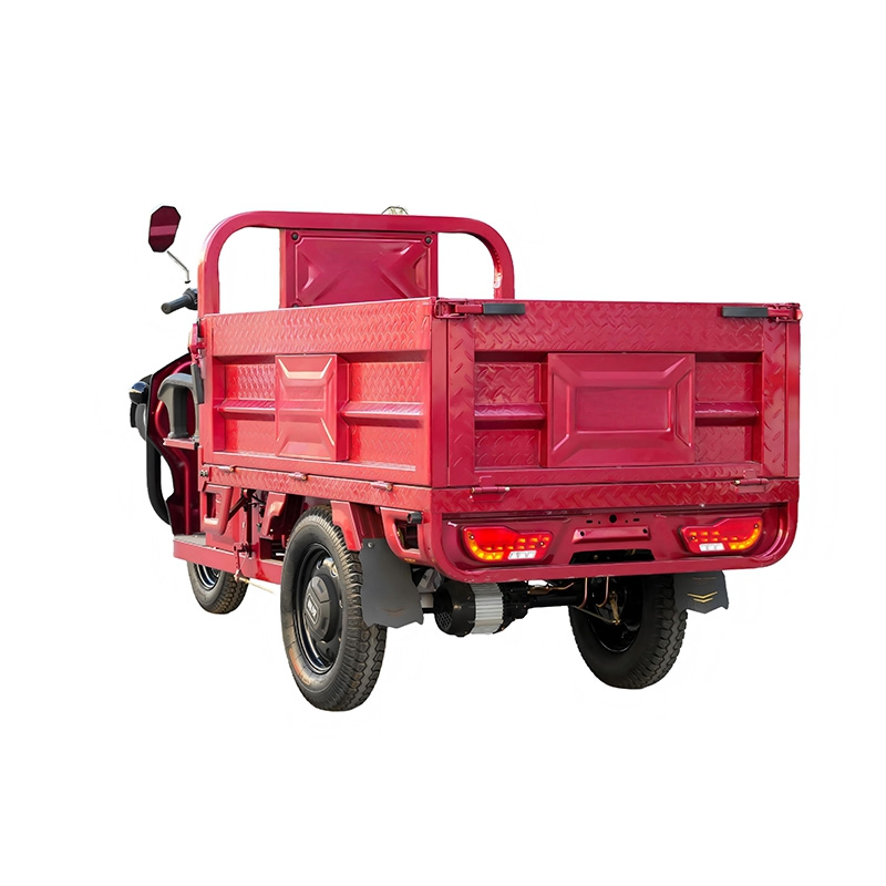 Heavy Load Electric Cargo Trike