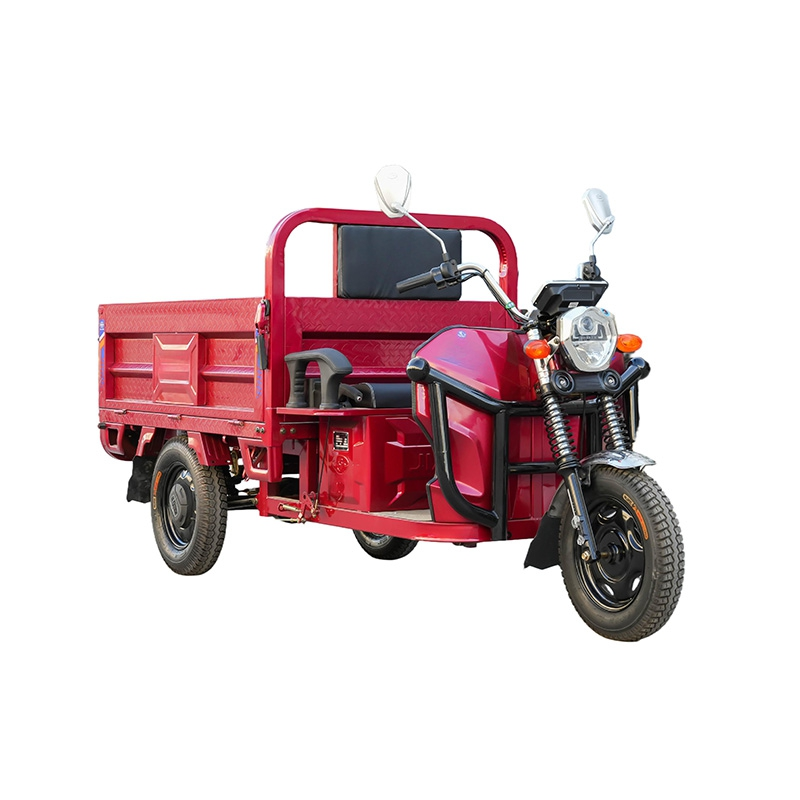 Heavy Load Electric Cargo Trike Heavy Load Electric Cargo Trike
