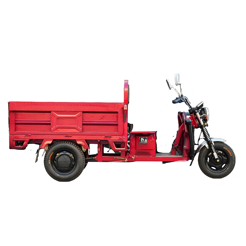 Heavy Load Electric Cargo Trike