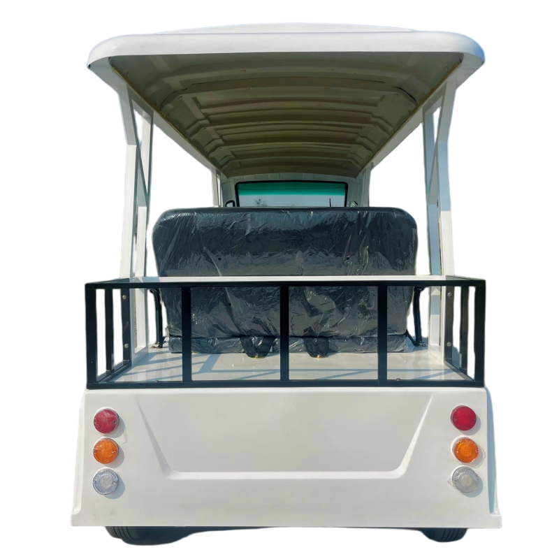 Electric Sightseeing Bus