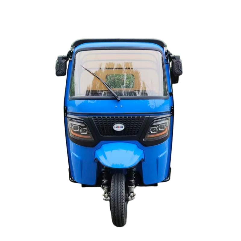Electric Rickshaw