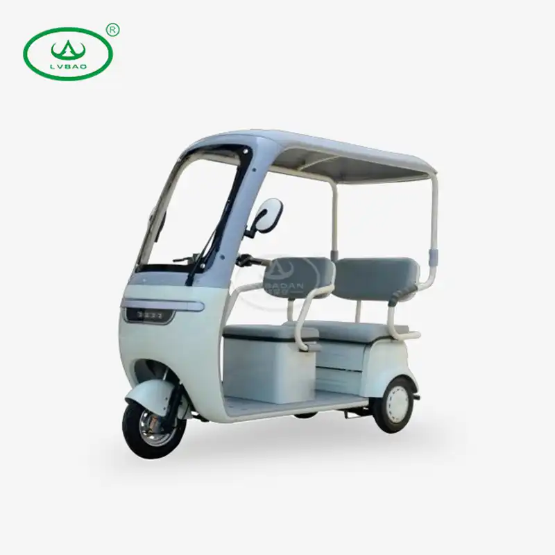 Best Leisure Open Electric Passenger Tricycle 2-Seater Models for Community Travel