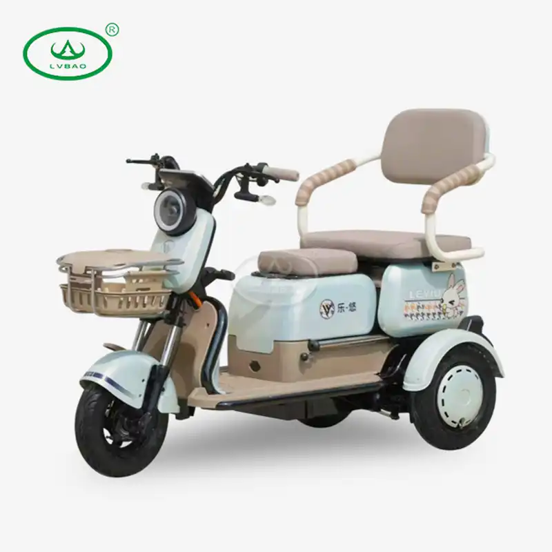 Small Household Electric Tricycle